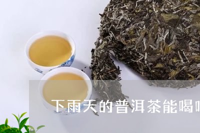 下雨天的普洱茶能喝吗/2023061556939