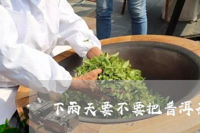 下雨天要不要把普洱茶密封起来/2023082624046