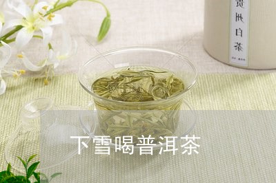 下雪喝普洱茶/2023042771820