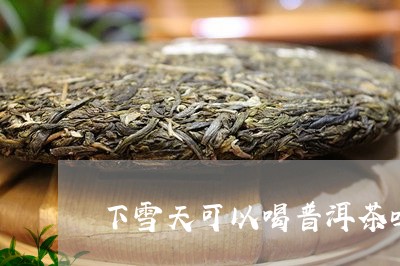 下雪天可以喝普洱茶吗/2023062469705