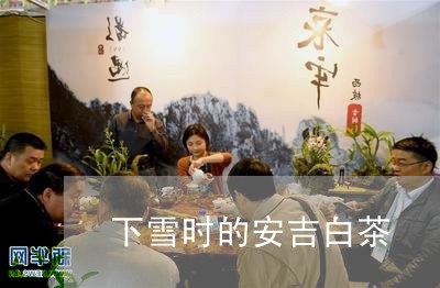 下雪时的安吉白茶/2023061464726