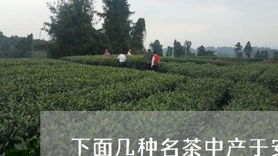 下面几种名茶中产于安徽的是/2023052682606