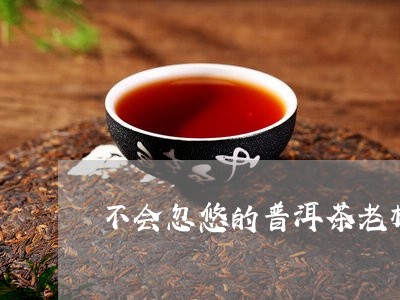 不会忽悠的普洱茶老板/2023073125261