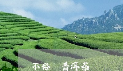 不俗號普洱茶/2023091393937