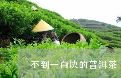 不到一百块的普洱茶/2023082877250