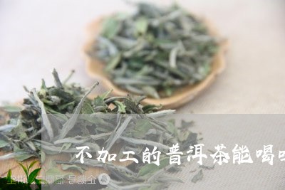 不加工的普洱茶能喝吗/2023092715248