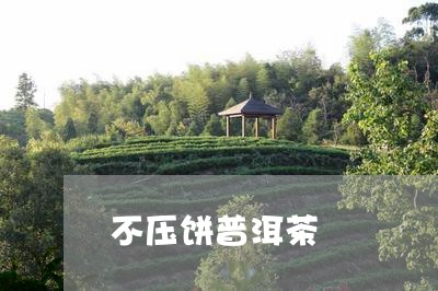 不压饼普洱茶/2023042534854