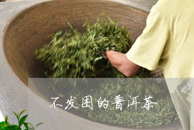 不发困的普洱茶/2023082857250