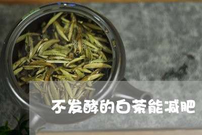 不发酵的白茶能减肥/2023071495938