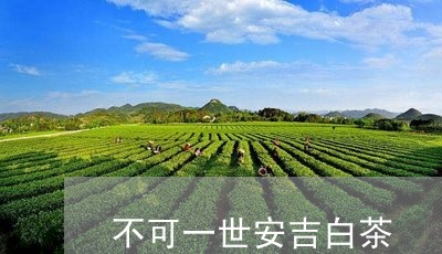 不可一世安吉白茶/2023061445068