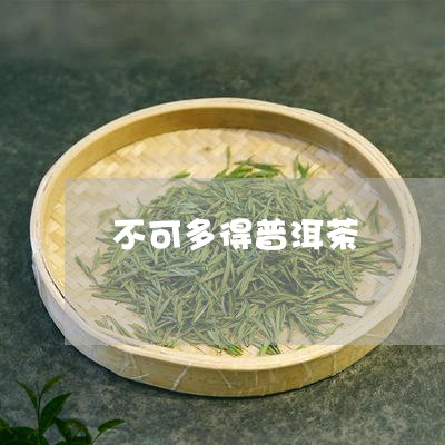 不可多得普洱茶/2023102676250