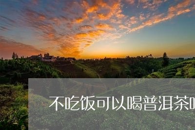 不吃饭可以喝普洱茶吗/2023061797369