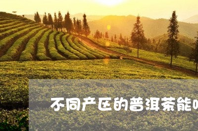 不同产区的普洱茶能喝吗/2023102405949