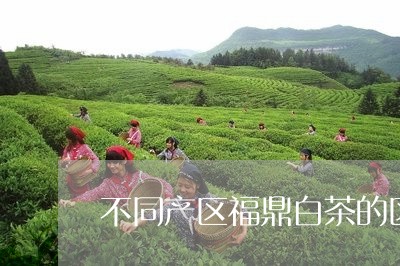 不同产区福鼎白茶的区别/2023092105360