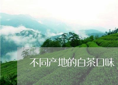 不同产地的白茶口味/2023071430272