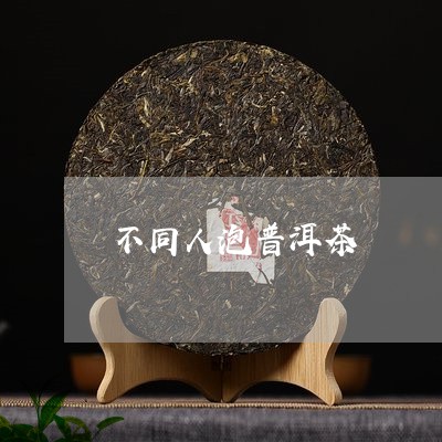 不同人泡普洱茶/2023112688158