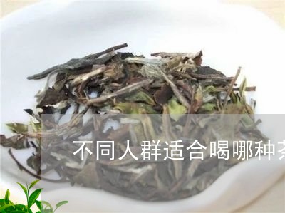 不同人群适合喝哪种茶/2023071448383