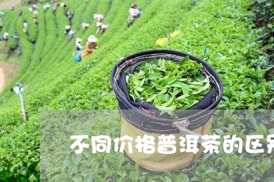 不同价格普洱茶的区别/2023062212747