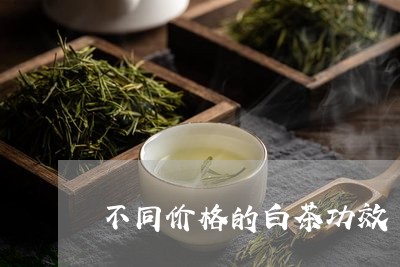 不同价格的白茶功效/2023121668581