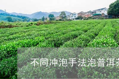 不同冲泡手法泡普洱茶/2023120628271