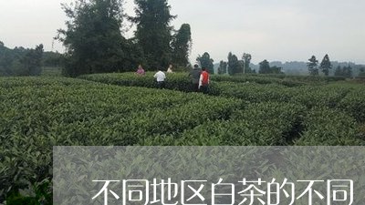 不同地区白茶的不同/2023071457371