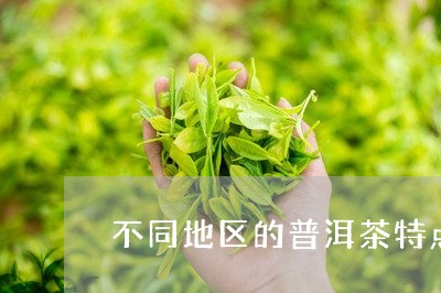 不同地区的普洱茶特点/2023062082626