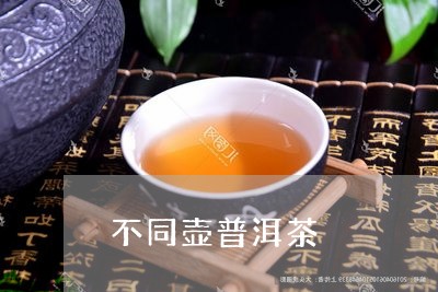 不同壶普洱茶/2023042776408