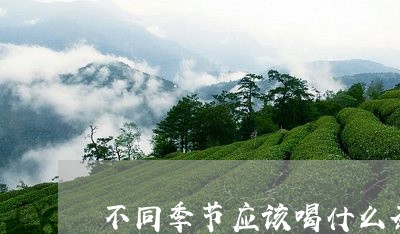 不同季节应该喝什么茶/2023071444160