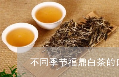 不同季节福鼎白茶的口味/2023092250706