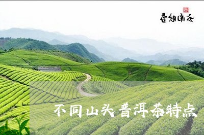 不同山头普洱茶特点/2023091389384