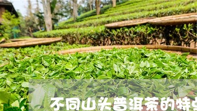 不同山头普洱茶的特点/2023062728280