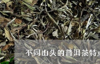 不同山头的普洱茶特点/2023100773725