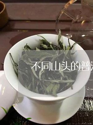 不同山头的普洱茶香气/2023080214960