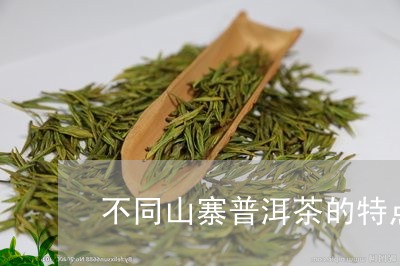 不同山寨普洱茶的特点/2023080225260