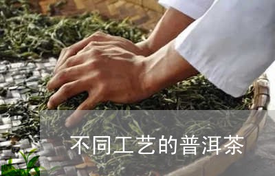 不同工艺的普洱茶/2023120408470