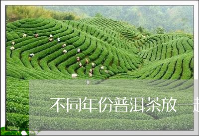 不同年份普洱茶放一起/2023092656391