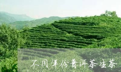 不同年份普洱茶生茶/2023071037581