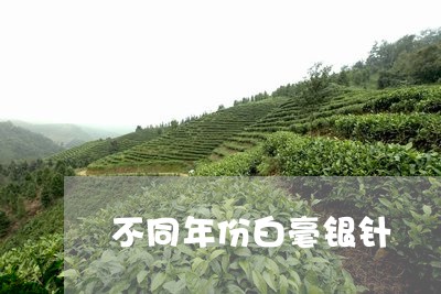 不同年份白毫银针/2023061493817