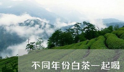 不同年份白茶一起喝/2023071419405