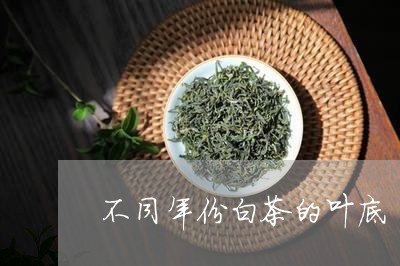 不同年份白茶的叶底/2023121538161