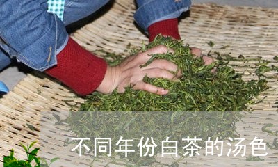 不同年份白茶的汤色/2023071483137