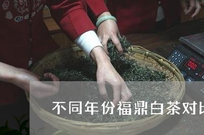 不同年份福鼎白茶对比/2023120844026