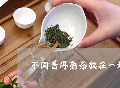 不同普洱熟茶放在一起/2023061361027