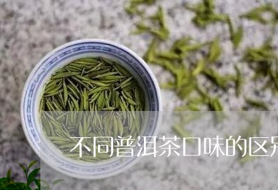 不同普洱茶口味的区别/2023100758471