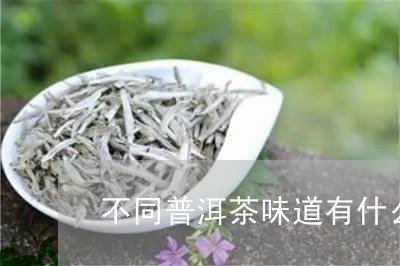 不同普洱茶味道有什么区别/2023110279503