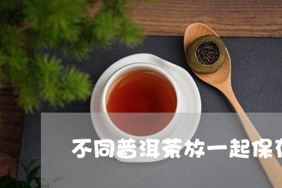 不同普洱茶放一起保存/2023072431896