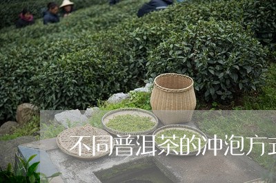 不同普洱茶的冲泡方式/2023100766028