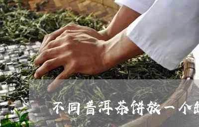 不同普洱茶饼放一个缸/2023092692613