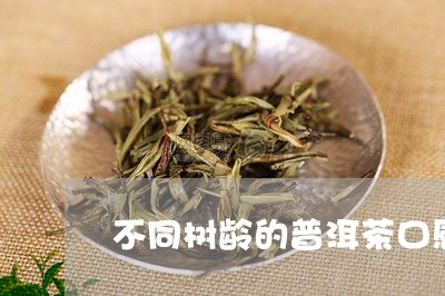 不同树龄的普洱茶口感有何区别/2023082672828