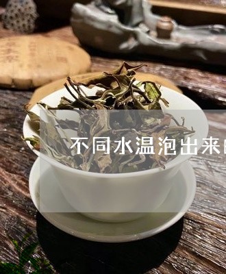 不同水温泡出来的白茶/2023092685371